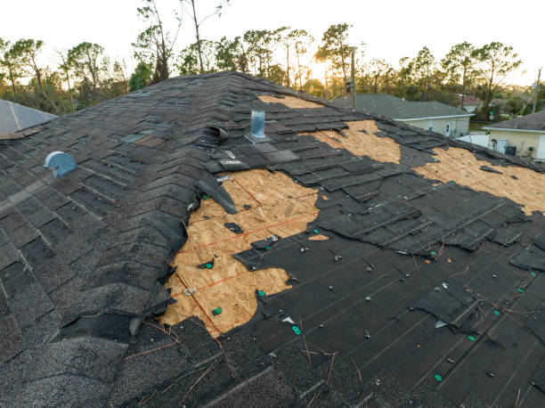 Best Skylight Installation and Repair  in Oliver, PA